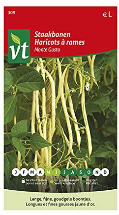 Haricots Monte Gusto Graines - Haricots jaunes d’or savoureux