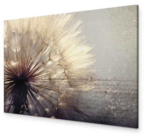 murando - Akustikbild Pusteblume Bilder Akustikschaum Hochleistungsschallabsorber Schallschutz Leinwand 1 tlg Wandbild Raumakustik Schalldämmung Pusteblumen Blumen b-C-0165-b-b