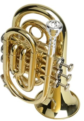 Tromba Portatile, Cornetta in Si Bemolle Grande Quanto Il Palmo Della Mano, Strumento A Fiato Con Custodia