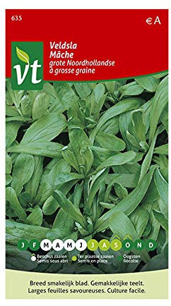 Mâche à grosse graine Graines - Larges feuilles, riche en minéraux et vitamines