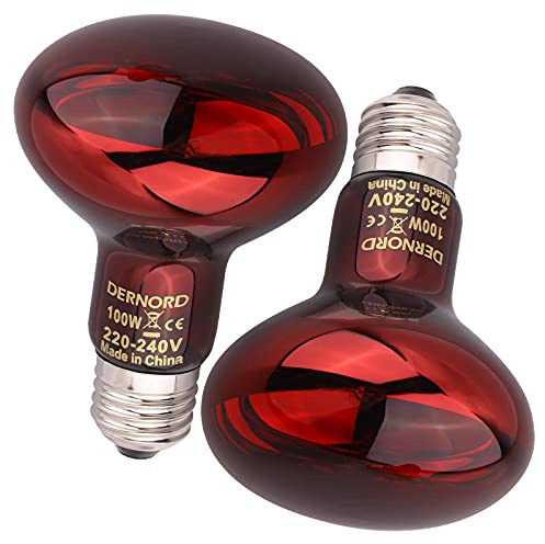 DERNORD Reptilien Rotlichtlampe Birne - 100 Watt R80 Infrarotlampe Rotlichtlampe Wärmelampe Tiere für Urzeitkrebse Schildkröten Vogelspinne Vivarium 2 Pack