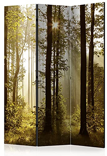 murando - Paravent Acoustique 135x172 cm - Séparateur de pièce avec Isolation phonique, Panneau insonorisant pour Bureau -des Arbres Photographie forêt Nature Paysage Soleil lumière c-B-0254-z-b
