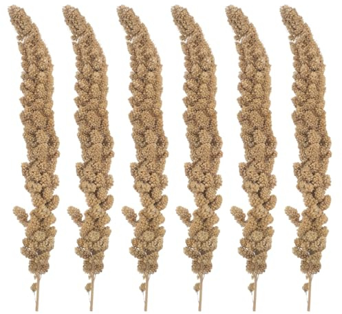 CIYODO Millet Grain Bird Treats for Budgies Finches Lovebirds Parrots and Hamsters 500g Natural Dried Millet Sprays Pet Food Snack for Cage Birds