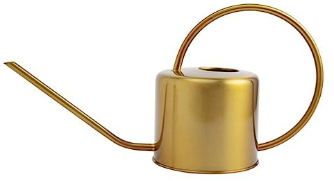 Milisten Arrosoir Acier Inoxydable à Long Bec Pot Arrosage Pratique Doré pour Plantes Et Fleurs Et Précis pour Jardinage Intérieur Et Extérieur