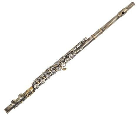 Flöte Für Anfänger 16-Loch-C-Tasten-Flötenset Geschlossenes Loch C-Flöte Mit Koffer Stoffhandschuhen Holzblasinstrument-Zubehör Für Musikliebhaber(Green)