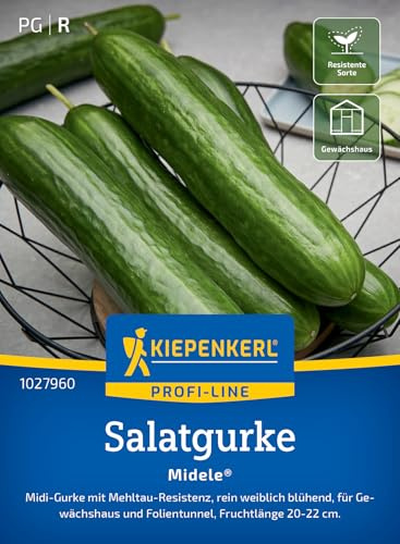 Kiepenkerl Salatgurkensamen Midele 1027960, Gemüsesaat | Bitterfreie, kernarme Gurkensamen für knackige, fruchtig-süße Midi-Gurken