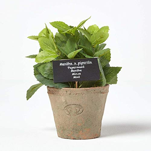HOMESCAPES Artificial Mint in Terracotta Pot Decorative Faux Herbs Potted in Decorative Distressed Planter for Indoor Decoration, 16 cm Tall
