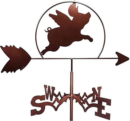 OLSKFUH Girouette De Toit en Laiton Flying Pig, Outil De Mesure des Intempéries en Acier Inoxydable, Indicateur De Direction sur Piquet en Bois pour Jardin De Ferme Vintage,Brass-A