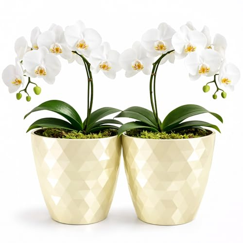 PECZEKO glänzender Blumentöpfe, Kunststoff-Pflanzentöpfe, dekorativer Blumentopf für große und kleine Blumen, 2er-Set Blumentöpf, Pflanztopf, Kräutertopf, (2 Pack) Creme, ø 14 cm
