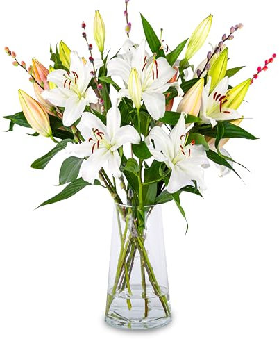 Luxury White Lilies - Fresh Flowers - Birthday, Anniversary, Get Well, Thank You, Occasion Flower - Cut Floral Arrangement for Home Décor, Gifts, Weddings, Sympathy, Celebrations