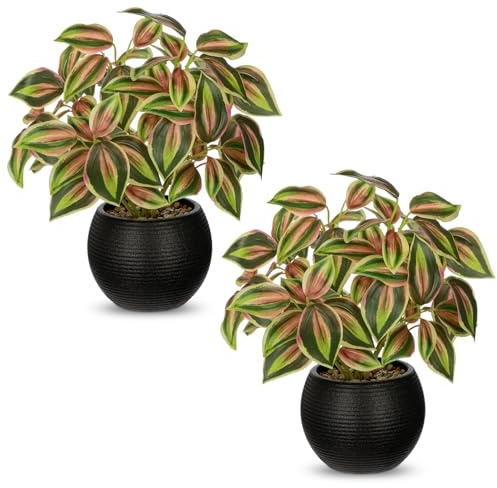 Briful Juego de 2 plantas artificiales en maceta, pequeñas plantas artificiales decorativas, plantas de interior Tradescantia Zebrina en maceta negra, mini planta para salón, oficina, estantería, mesa