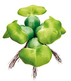 Pontec PondoHyacinth, Decorazione Stagno Galleggiante, giacinto per la Superficie dell'Acqua