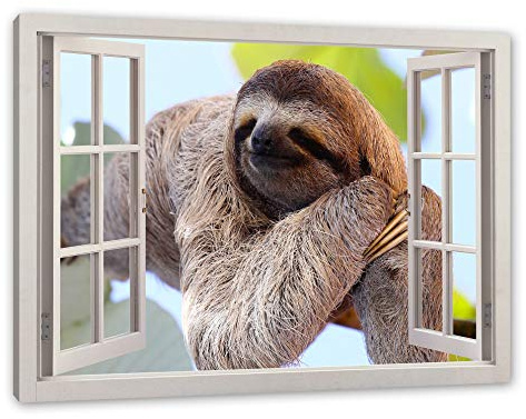 Pixxprint schönes Faultier hängt von Ast, Fenster, Größe: 120x80cm, Leinwandbild, fertig gespannt, Wandbild, Dekoration, Kunstdruck, kein Poster