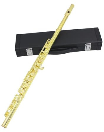 Querflöte Anfänger Flöte Mit 16 Geschlossenen Löchern, C-Tastenflöte Mit Lederetui, Professionelle Konzert-Holzbläserflöte(Gold)