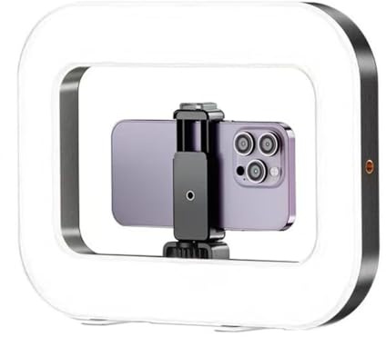 Zeroupshop Portable LED Ring Light Handheld Photography Fill Light Rechargeable Bicolor Temperature Adjustable Video Recording Lights For Smartphone Content Creation