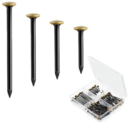 Fleymu Set di 120 chiodi per foto (20/25/30/40 mm), chiodi in acciaio inox con testa dorata, per l'uso su cemento, mattoni, intonaco e legno, con pratica scatola organizer