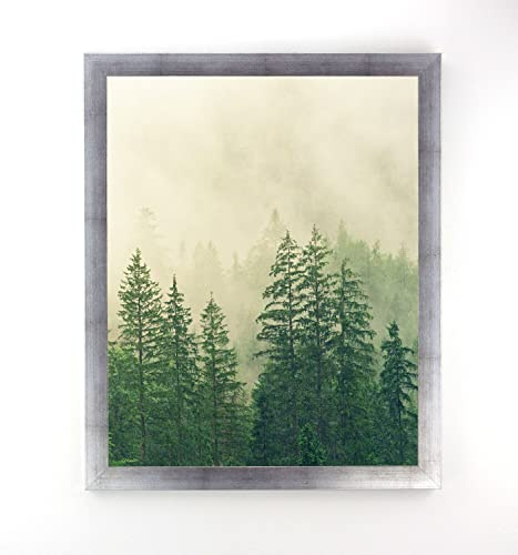 Monaldo Deluxe Bilderrahmen Posterrahmen 120 x 60 cm Farbe Silber Patiniert Wechselrahmen weisser Hintergrund Antireflex Kunstglas