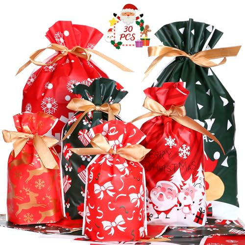GWHOLE 30 Stück Geschenktüten Weihnachten mit Kordelzug Weihnachtstüten Geschenkverpackung Süßigkeiten Tüten Set Geschenkbeutel Geschenkssackerl Tasche zum Befüllen, Wiederverwendbar