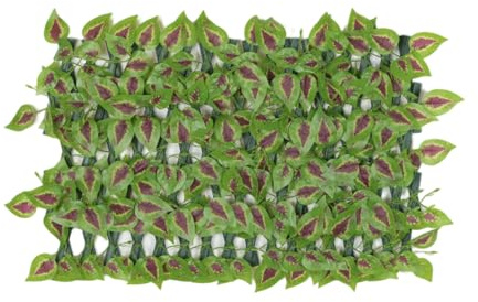 Chaies Pannello Di Recinzione Finto Decorativo - Decorazione con Sfondo Verde - Rotolo Schermante Di Siepe Artificiale | Per Famiglia Amici Studenti Uomini Donne Soggiorno Balcone Patio Cortile