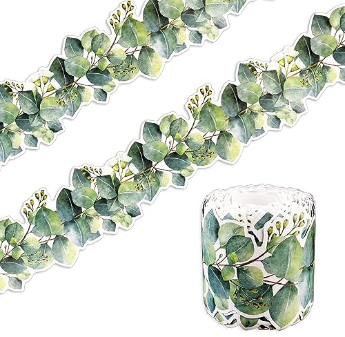 Bulletin Board Decorations in Eucalipto, 15m Bordo per Pareti in Eucalipto Verde Bordo per Pareti Soffitto per Aula Scuola Bacheca Lavagna Adesivi Murali