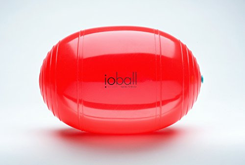 IO Ball - Variabler, elliptischer Trainings- und Gymnastikball inkl. DVD und Trainingsposter