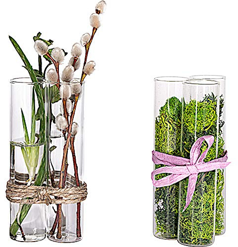 Tuuters Reagenzglas Vase klein 6 Stück für Stecklinge, Blumen (100 x Ø30mm) | 3cm Durchmesser, Glasröhrchen, Mini Reagenzgläser für Blumen, Pflanzen, Anzucht, als Grab Vaseneinsatz aus Glas, stehend