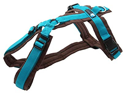 anny-x Brustgeschirr Fun braun Petrol - Gr. XS