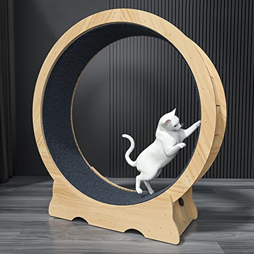 DIIDIIFF Laufband für kleine/mittlere/große Katzen, Indoor-Katzenlaufrad mit Feststellvorrichtung, Katzenspielzeug/Katzenkratzer zur Gewichtsreduktion für Haustiere