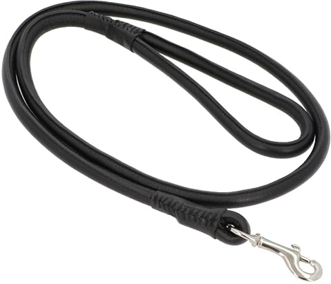 Gusti Leder Hundeleine Abelard - Robuste Lederleine Hundeleine mit Karabiner 150 cm schwarz Leder