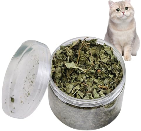 Natürliche Katzenminzeblätter – 40 G Getrocknete Gemahlene Katzenminze Für Katzen, Zahngesundheitssnack Zur Zahnreinigung | Beruhigende Katzen-Minz-Snacks Zur Entspannung, Bereicherung Für Katzen Im I