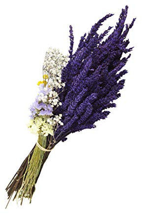 Lavanda Experience, Ramo de Flores Naturales con Lavanda Preservada, Camomila y Flores Secas de Cultivo Ecológico, Elaboración Artesanal y de Primera Calidad.