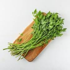New Fresh 13pcs Lovage Plant Seeds Generic