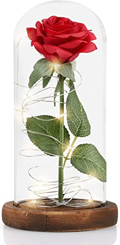 MOOKLIN ROAM Rosa Eterna, Bella e la Bestia Rose e Lampada a LED con Cupola in Vetro e Base in Legno, Sorpresa Regalo per Valentine's Day et Anniversario di Matrimonio, Perfetti Decorazione
