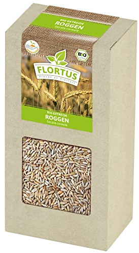 FLORTUS BIO Roggen Getreide Samen 200g | Alte Sorten Urgetreide zur Herstellung von Mehl Sauerteig Brot Roggengras & Microgreens | Sprossen Samen