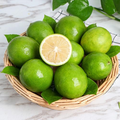 semillas de limonero, columnares huerta comprar columnares semillas de variedades antiguas enanos, resistentes limonero 50pcs