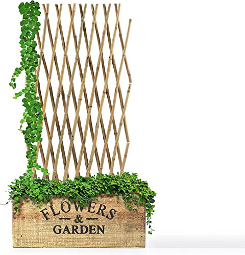 Floordirekt | Treillis en Bambou pour Les Plantes grimpantes - Extensible - Résistant aux intempéries et Durable - Ideal pour Les Jardins, Les clôtures, la décoration | 150 x 180 cm