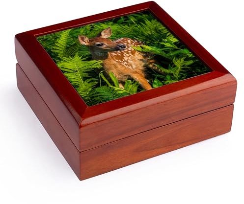 3dRose USA, Minnesota. Close-up of White-tailed deer fawn in the ferns., Jewelry Box jb-231046-1