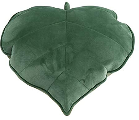 Yelan Plush Floor Cushion - Decorative Throw Pillow for Reading, Car Seat (Green, 50 x 50 cm)