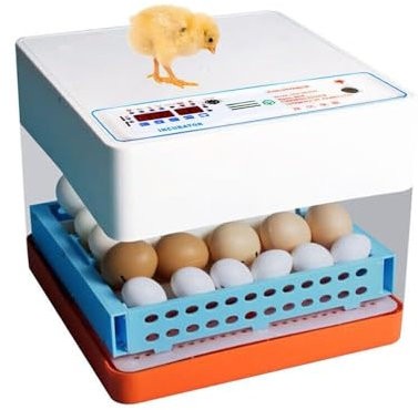 Professionelle LED Eier Inkubator Vollautomatisch Brutmaschine,Brutmaschine Brutautomat Incubator,Eier automatisch drehen, von Hühnern, Vögeln und Wachteleiern (C-24 Eier)