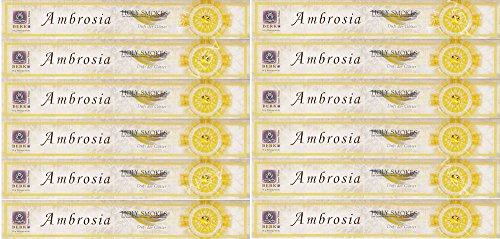 Berk HS-100 Räucherstäbchen - Ambrosia, 10 g, 12er Pack