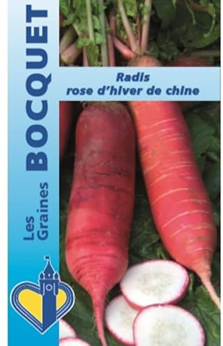 Sachet de graines de Radis rose d'hiver de Chine - 10 g - légume racine - LES GRAINES BOCQUET