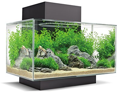 Fluval 15034 Set Acquario Edge, L, 23 litri, Nero