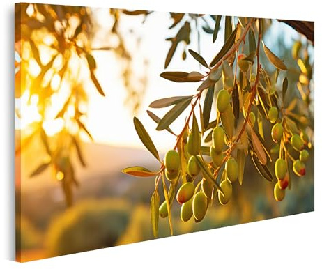 islandburner Bild auf Leinwand Nahaufnahme Oliven Tautropfen Zweig Olivenbaum Sonnenuntergang Nahaufnahme Olive Bilder Wandbilder Poster