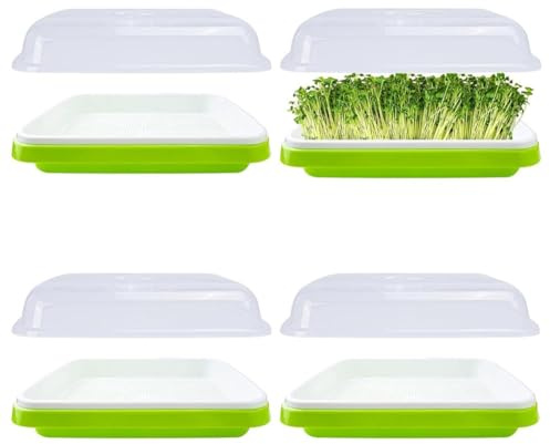 MonoSora Lot de 4 plateaux de germination de grande capacité avec couvercle pour la luzerne, les haricots mungo, les lentilles - Vert - 34 x 25 cm