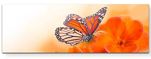 Paul Sinus Art Leinwandbilder | Bilder Leinwand 120x40cm orangene Blumen mit Schmetterlingen