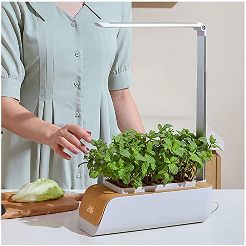 VVLXRIC Kit Culture Interieur, Lumiere Horticole LumièRe De Remplissage Automatique, Invite De Niveau DEau, Mini Serre De Jardin, Convient Aux Plantes DIntéRieur