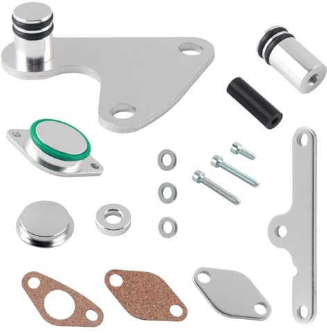 FortuneGlobe Kit valvola EGR per motori diesel N47 N47S 2.0,E81, E87, E88, E82, E90, E91, E92, E93 (inkl. LCI), E60, E61 LCI, X1 E84 e X3 E83 LCI con compatibile rimozione guarnizione refrigerante EGR