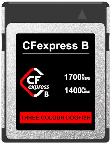Dogfish 256GB Scheda di Memoria CFexpress Tipo B, Fino a 1700MB/s Foto e Video RAW 8K 4K, per videocamere Nikon Canon Panasonic