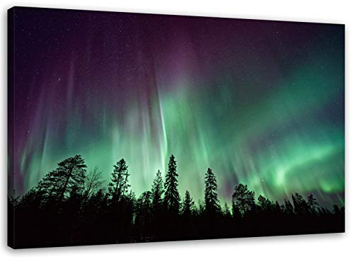 Feeby. Wandbild - 1 Teilig - 80x120 cm, Leinwand Bild Leinwandbilder Bilder Wandbilder Kunstdruck, POLARLICHT, NATUR, SCHWARZ