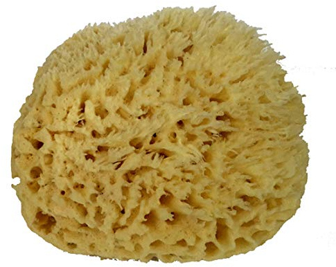 Spa Destinations Natural Sea Wool Sponge 6-7 Natural Renewable Resource